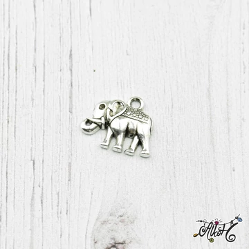 elefant-tibetiezust-medal-charm